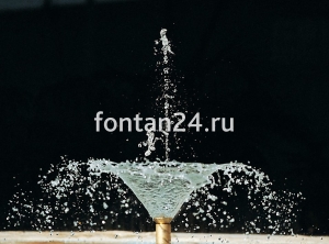 Фонтанная насадка Arum Lily jet 1"